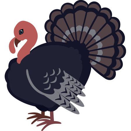 TurkeyIcon